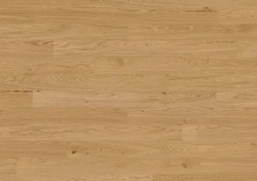 [FTRH00001] Friends by ter Hürne Hywood Eiken Jules landhuisdeel