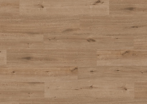 [FTRH00060] Friends by ter Hürne Vinyl Friends Eiken Thomas 282