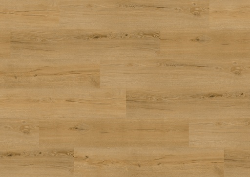 [FTRH00069] Friends by ter Hürne Vinyl Friends Eiken Mika 262