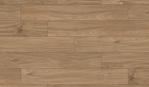 [TERH00095] ter Hürne Dureco Strong Classic Eiken Vadoo 259