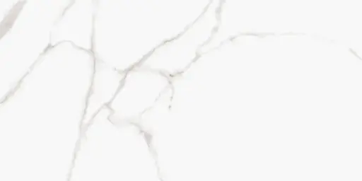 EasyTile Bianco Carrara tegel Porselein 60 x 120
