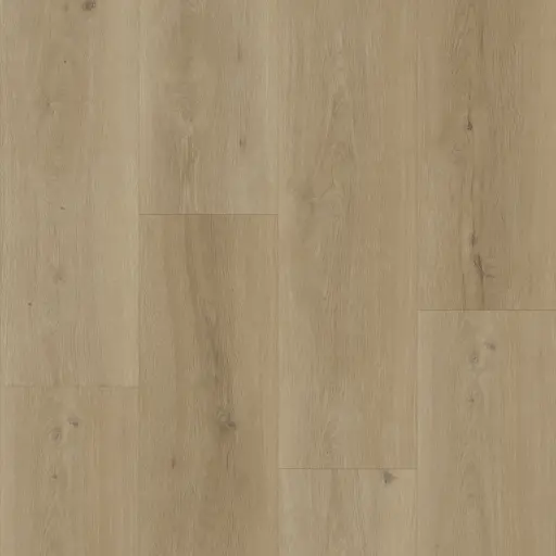 [BODI70301] Bodiax BP300 Longa click Sage XL V4micro-2,5mm-3,48m²