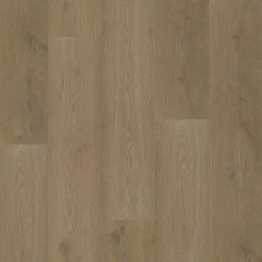 [BODI90023] Bodiax BP500 Thor click Belleville oak XL V4micro-9mm-1,99m²