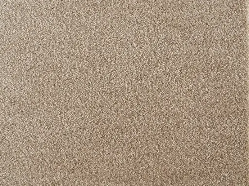 Lano tapijt Satine Nova 434 Latte 10mm verschillende breedtes