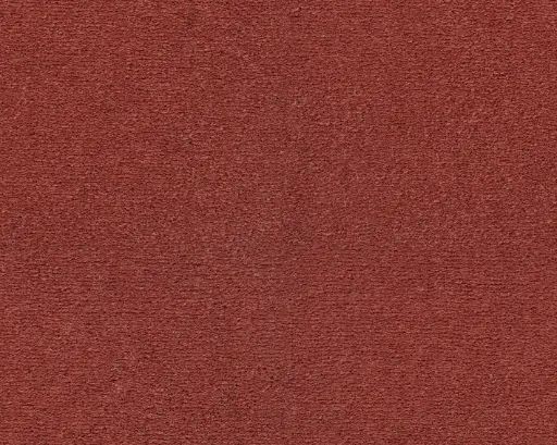 Lano tapijt Living Colours 3 Celeste 121 Koraal1 12mm verschillende breedtes