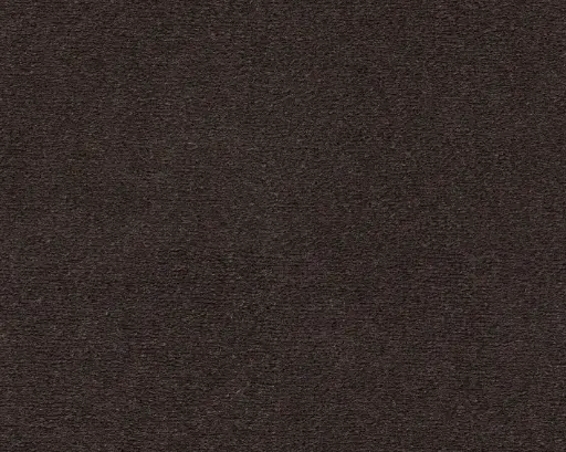Lano tapijt Living Colours 3 Celeste 401 Koffie1 12mm verschillende breedtes