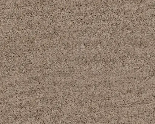 Lano tapijt Living Colours 3 Celeste 421 Bever1 12mm verschillende breedtes