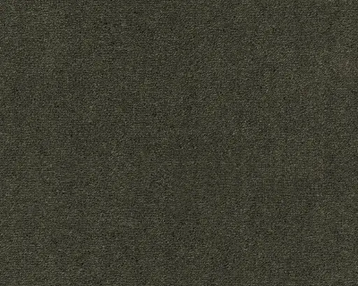 Lano tapijt Living Colours 3 Celeste 501 Olijf1 12mm verschillende breedtes