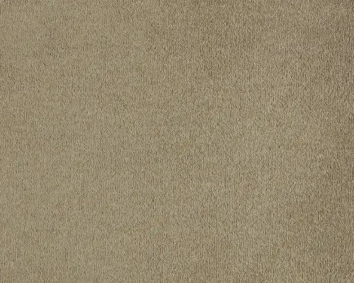 Lano tapijt Living Colours 3 Lior 260 Beige 9mm verschillende breedtes