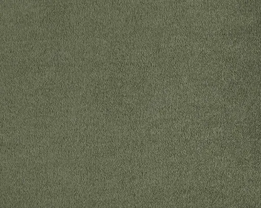 Lano tapijt Living Colours 3 Lior 610 Klimop 9mm verschillende breedtes