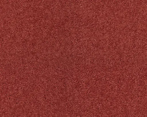 Lano tapijt Living Colours 3 Lounge 131 Roze1 10mm verschillende breedtes