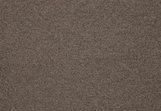 Lano tapijt Living Colours 3 Lounge 190 Malt Chocolate 10mm verschillende breedtes