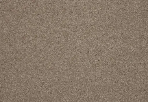 Lano tapijt Living Colours 3 Lounge 430 Sable 10mm verschillende breedtes