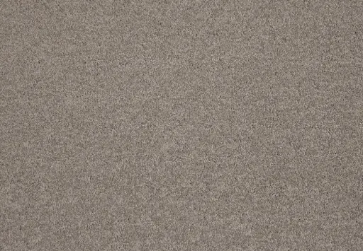 Lano tapijt Living Colours 3 Lounge 460 Hazelnut 10mm verschillende breedtes