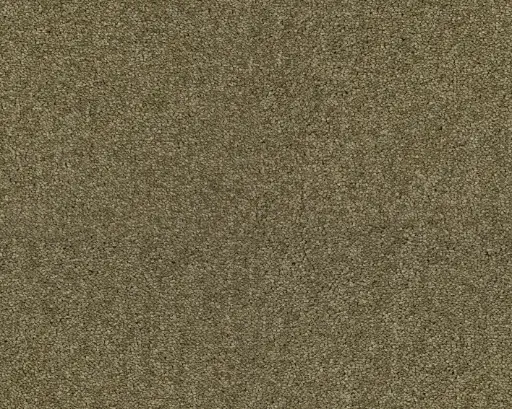 Lano tapijt Living Colours 3 Lounge 484 Gerst4 10mm verschillende breedtes