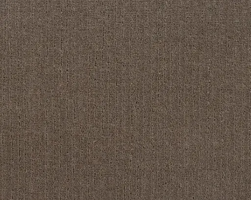 Lano tapijt Living Colours 3 Loft Life Pure 411 Leder1 8mm 4m breed