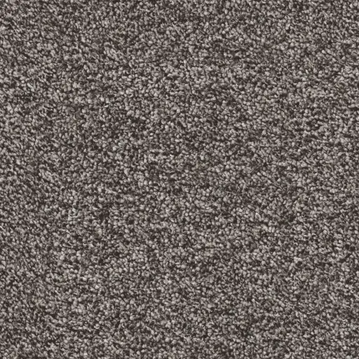 Maison Tapis tapijt Baltimore kleur 0125 bruingrijs 12,5mm 4m breed