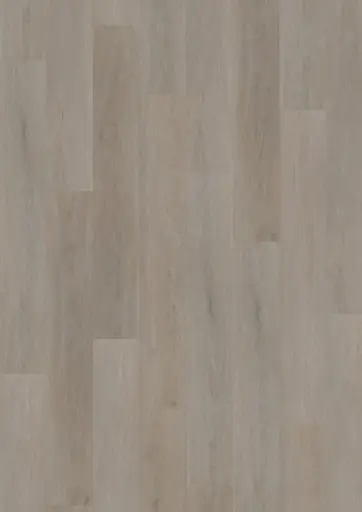 [ONFL97017] OneFlor Solid click 55 English oak Greige - 6mm - 2,18m²