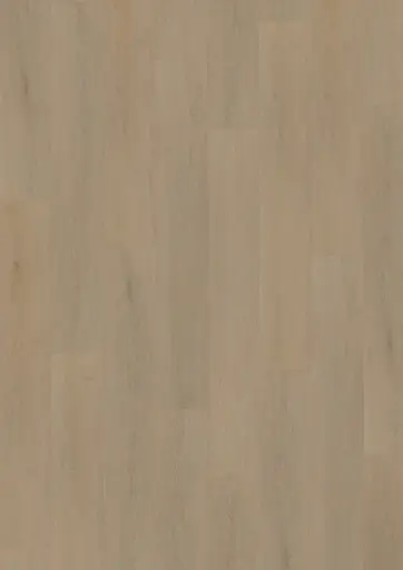 [ONFL97018] OneFlor Solid click 55 English oak Warm Natural - 6mm - 2,18m²