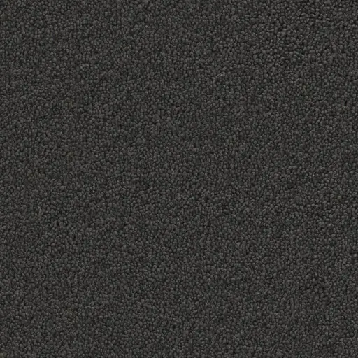 Maison Tapis tapijt Dallas kleur 0205 antraciet 14mm 4m breed