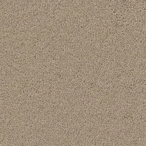 Maison Tapis tapijt Dallas kleur 0410 zand 14mm 4m breed
