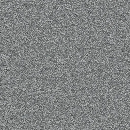 Maison Tapis tapijt Houston kleur 0165 lichtgrijs 17,5mm 4m breed