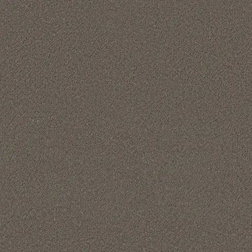Maison Tapis tapijt Lodi kleur 0600 bruin 10mm 4m breed