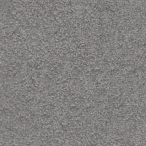 Maison Tapis tapijt Maryland kleur 0165 lichtgrijs 15,5mm 4m breed