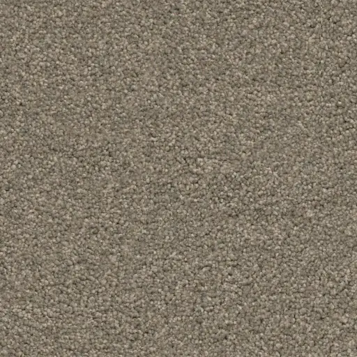 Maison Tapis tapijt Miami kleur 0125 bruingrijs 10mm 4m breed