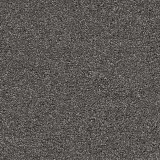 Maison Tapis tapijt Miami kleur 0101 donkergrijs 10mm 4m breed