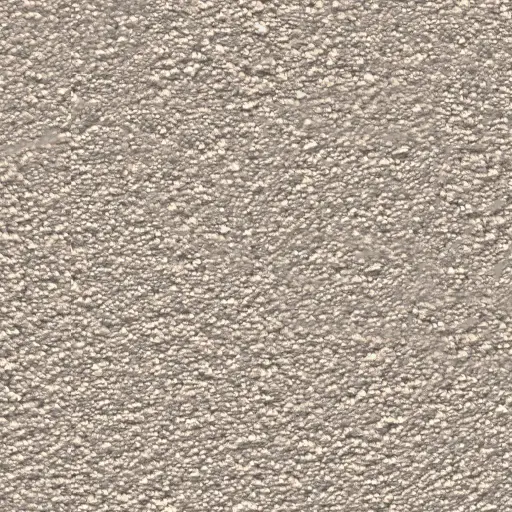 Maison Tapis tapijt Sedona kleur 0400 beige 21mm 4m breed