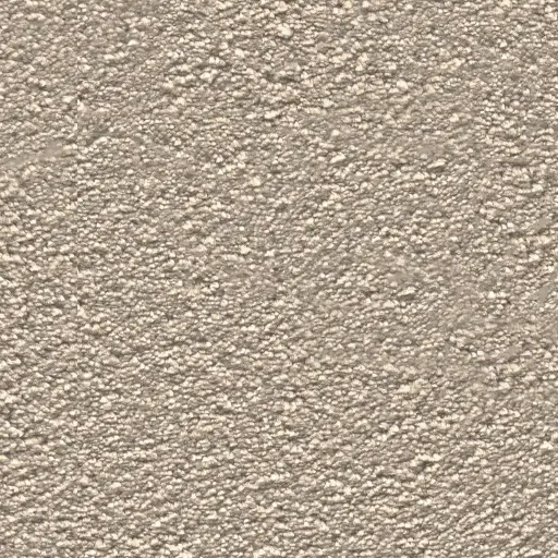 Maison Tapis tapijt Sedona kleur 0410 zand 21mm 4m breed