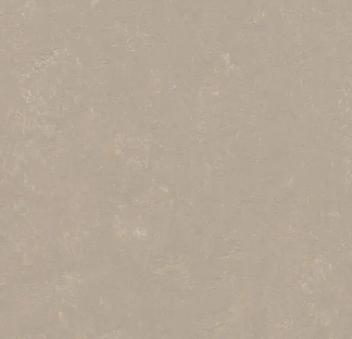 Forbo marmoleum Solid Concrete kleur 3708 Fossil 2,5mm 2m breed