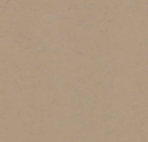 Forbo marmoleum Solid Concrete kleur 3727 Drift 2,5mm 2m breed