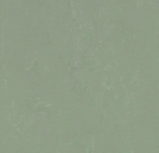 Forbo marmoleum Solid Concrete kleur 3750 Pine Forest 2,5mm 2m breed
