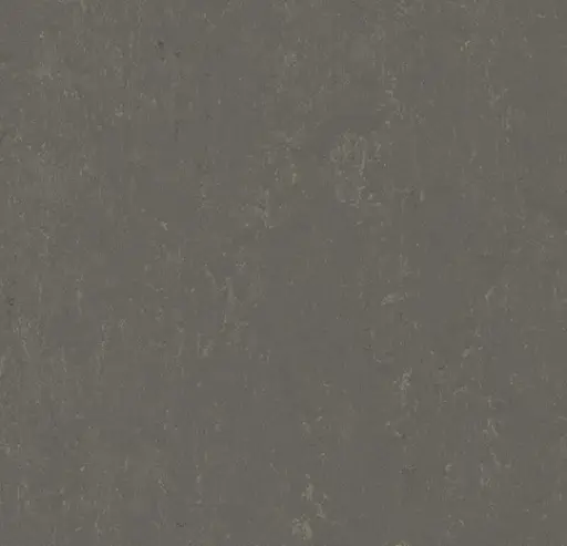 Forbo marmoleum tegel Modular Neutral kleur t3705 Meteorite 2,5mm 50x50cm
