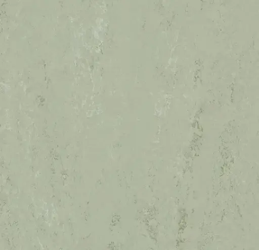 Forbo marmoleum tegel Modular Accent kleur t3769 Fresh Thyme 2,5mm 50x50cm
