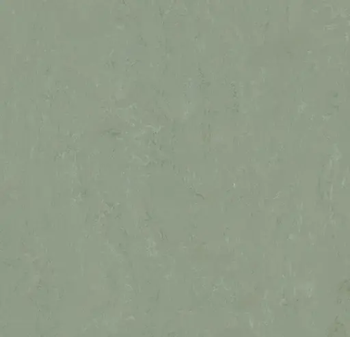 Forbo marmoleum tegel Modular Accent kleur t3750 Pine Forest 2,5mm 50x50cm