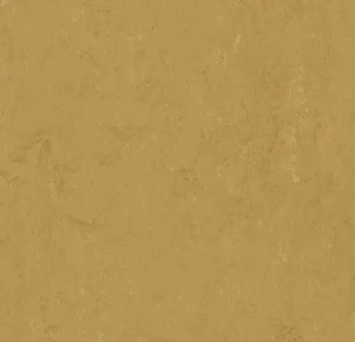 Forbo marmoleum tegel Modular Accent kleur t3768 Linseed 2,5mm 50x50cm