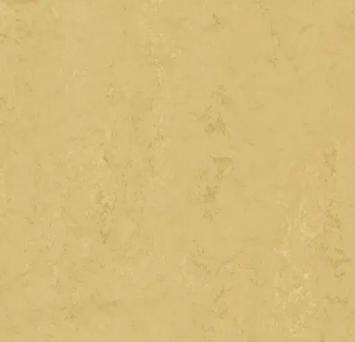 Forbo marmoleum tegel Modular Accent kleur t3774 Corn Silk 2,5mm 50x50cm