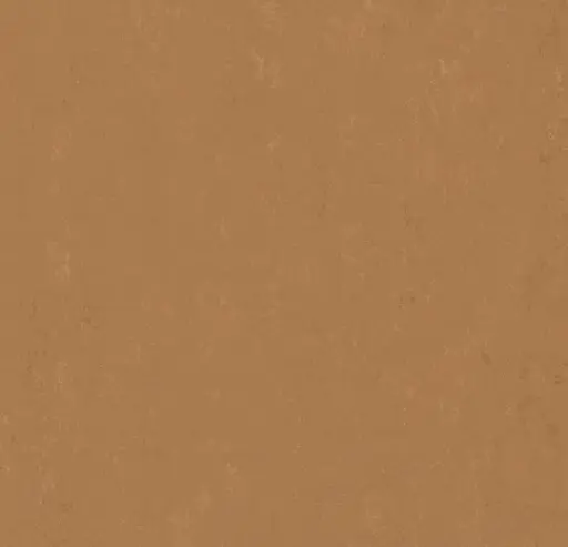 Forbo marmoleum tegel Modular Accent kleur t3772 Tiger's Eye 2,5mm 50x50cm
